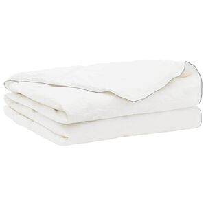 vidaXL Dekbed FULDA 240 x 260 cm Zomer 100 GSM 90% Gansendons Wit