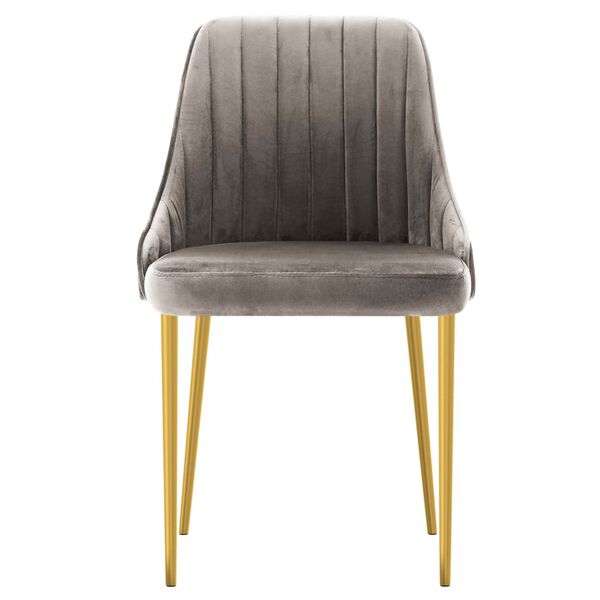 vidaXL Eetkamerstoelen 4 st fluweel lichtgrijs