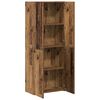 vidaXL Kantoor kast met plank Oud hout 60 x 32 x 153 Bewerkt hout