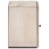 vidaXL Badkamer Hangkast Wit 38 x 33,5 x 48 cm Massief Mango Hout