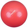 Avento Fitnessbal 75 cm roze