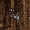 Miniatuurafbeelding van het product 9 van 14