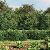 Miniatuurafbeelding van het product 2 van 7