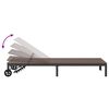 vidaXL Ligstoel 1-persoon Bruin 60 x 200 x 27cm poly rattan