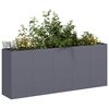 vidaXL Plantenbak 200x40x80 cm koudgewalst staal antracietkleurig