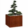 Miniatuurafbeelding van het product 3 van 11