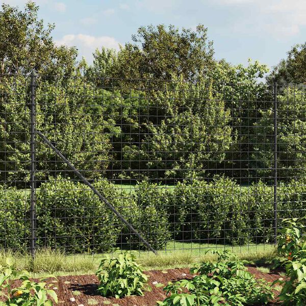 Productafbeelding 2 van 6