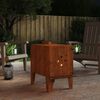 vidaXL Campingkachel 35x50x55 cm cortenstaal
