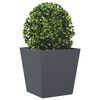 vidaXL Plantenbakken 2 st 40x40x40 cm staal antracietkleurig