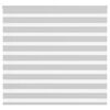 vidaXL Zebra rolgordijn 155x100 cm stofbreedte 150,9 cm lichtgrijs