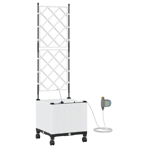 Productafbeelding 1 van 7