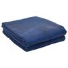 vidaXL Tenttapijt Blauw 500 &times; 350 cm Polyester
