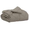 vidaXL Zomerdekbed 220 x 135 cm Zomer 200 gsm Lichtgrijs