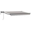 vidaXL Handbediende luifel met LED's 3,5 x 2,5 m