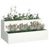 Miniatuurafbeelding van het product 3 van 12