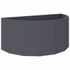 vidaXL Plantenbak Antraciet 120 x 60 x 50 cm Staal