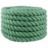 vidaXL Jute Touw 60 mm Groen 100% Tossa jute
