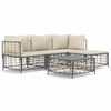 vidaXL 4-delige Loungeset met kussens poly rattan antracietkleurig