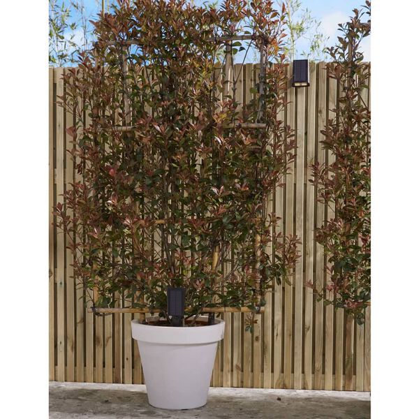 Luxform Tuinlamp Rosario met bewegingssensor solar LED 30 lm