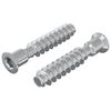 vidaXL Hoofdkapbout 2 pcs Zilver M7 x 40 mm Staal