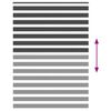 vidaXL Zebra rolgordijn 160x200 cm stofbreedte 155,9 cm zwart