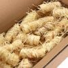 Miniatuurafbeelding van het product 5 van 5