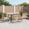 vidaXL 7-delige Tuinset met kussens poly rattan beige