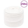 vidaXL Boottouw 14 mm 250 m polypropyleen volwit