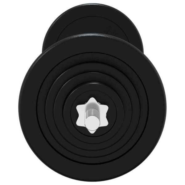 vidaXL Halter met gewichten 60 kg gietijzer en verchroomd staal