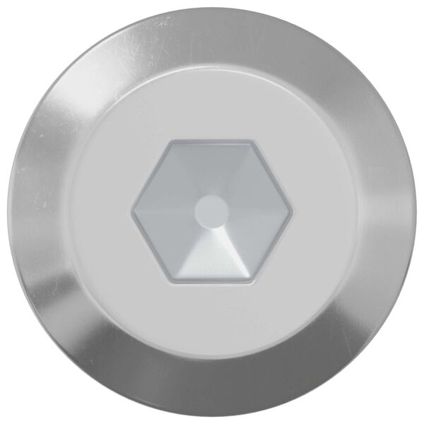 vidaXL Bout 2 pcs Zilver M6 x 60 mm Staal