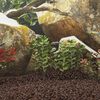Miniatuurafbeelding van het product 2 van 5
