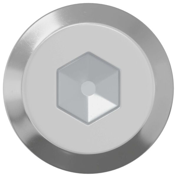 vidaXL Bout 2 pcs Zilver M6 x 50 mm Staal