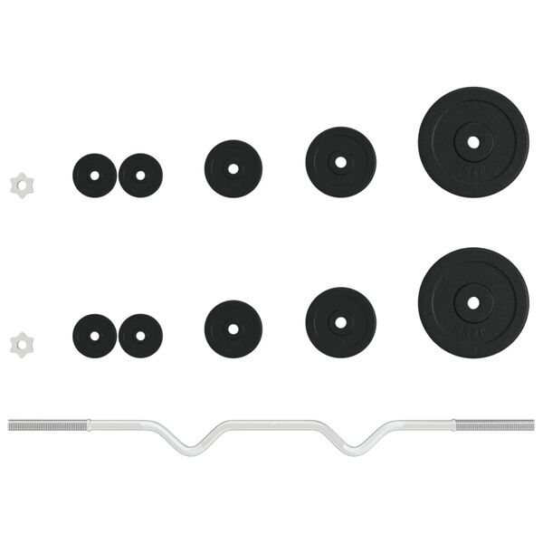 vidaXL Halter met gewichten 30 kg gietijzer en verchroomd staal