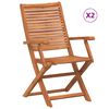 vidaXL Opklapbare stoelen met armleuningen, 2 stuks, gemaakt van massief acaciahout.