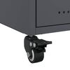Miniatuurafbeelding van het product 11 van 13