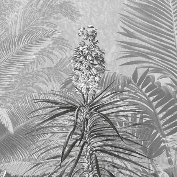 Komar Fotobehang Amazonia Black and White 400x250 cm
