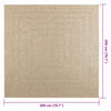 vidaXL Vloerkleed ZIZUR beige binnen en buiten 200x200 cm jute look
