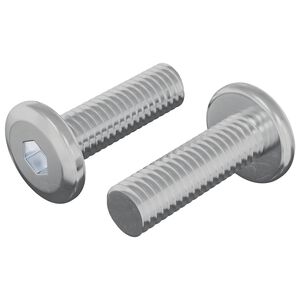 vidaXL Bout 2 st Zilver 8 x 25 mm Staal