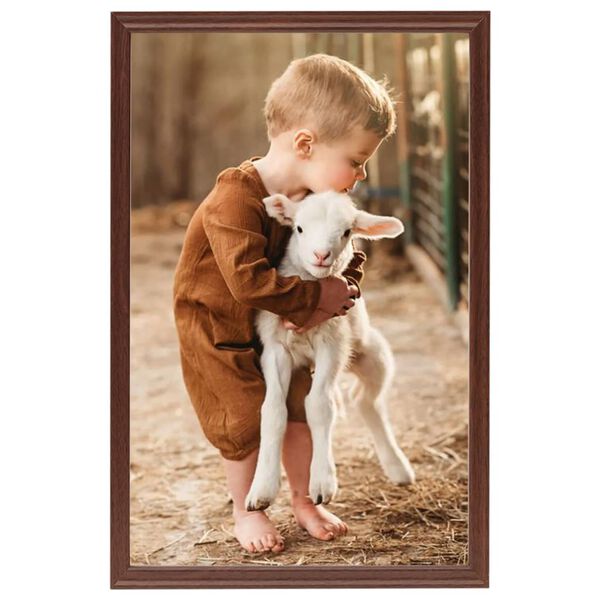 vidaXL Fotolijsten 5 st voor tafel 21x29,7 cm MDF bruin