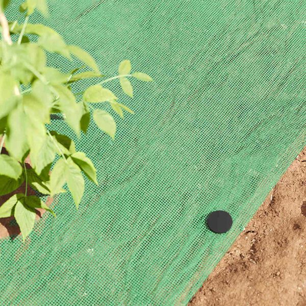 vidaXL Plastic Pennen 500 pcs Zwart &Oslash;3 x 11 cm Kunststof