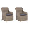 vidaXL Tuinstoelen 2 st met kussens poly rattan bruin