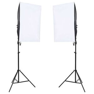 vidaXL Studiolampen 2 st professioneel 40x60 cm