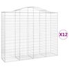 vidaXL Schanskorven 12 st gewelfd 200x50x160/180 cm ijzer