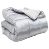 vidaXL Winter Dekbed 140 x 200 cm 450 gsm Zilver