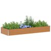 Miniatuurafbeelding van het product 3 van 13
