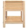 vidaXL Nachtkastjes 2 st 42x38x45 cm bewerkt hout