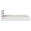 Miniatuurafbeelding van het product 5 van 11