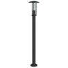 vidaXL Vloerlamp voor buiten 100 cm roestvrij staal zwart