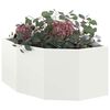 Miniatuurafbeelding van het product 3 van 12