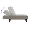 vidaXL Slaapbank 2-zits met voetenbank fluweel lichtgrijs